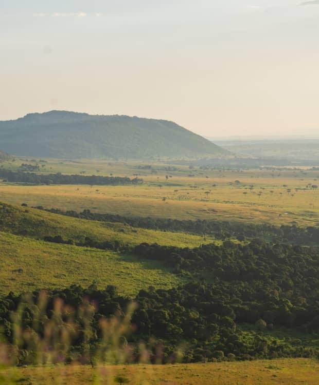 LOIRIEN Mara conserve photograph